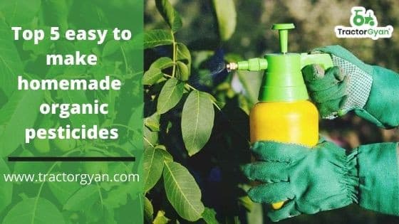 Easy to Make Homemade Organic Pesticides image