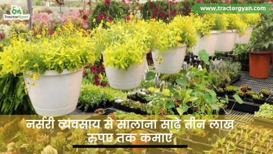 नर्सरी एक सरल और लाभकारी व्यवसाय image