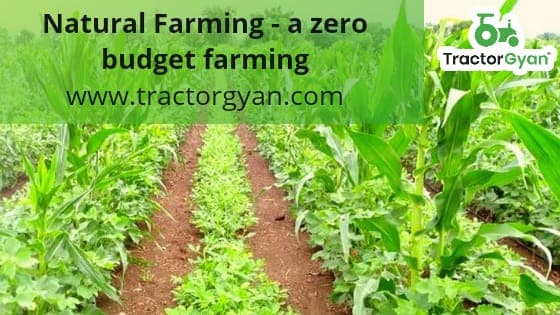 Natural Farming - a zero budget farming image