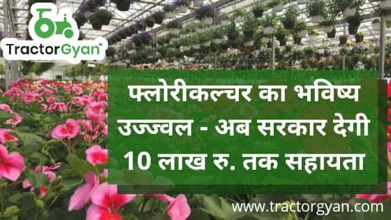 फ्लोरीकल्चर का भविष्य उज्ज्वल - अब सरकार देगी 10 लाख रु. तक सहायता image