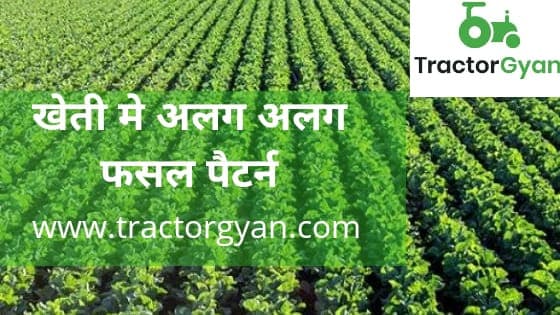 Different Cropping Patterns in Agriculture image