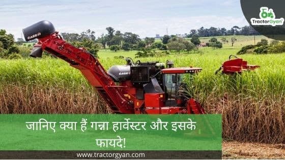 Everything You Need to Know About Sugarcane Harvester image