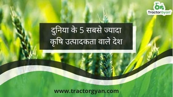 Top 5 Largest Agricultural Producing Countries in the World image