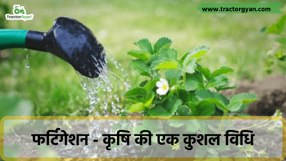 Fertigation - an efficient method in agriculture. image