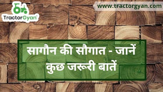 सागौन की सौगात - जानें कुछ जरूरी बातें image