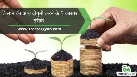 Top 5 Absolutely Effective Ways to Double Farmer's Income image