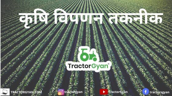 AGRICULTURAL MARKETING image