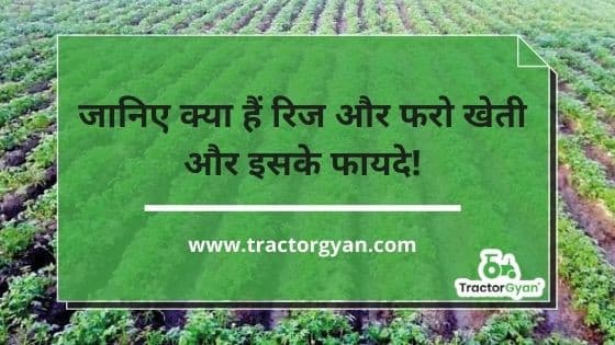 Know about ridge and furrow system of farming and its advantages image