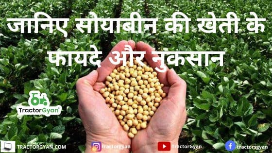 SOYABEAN CULTIVATION image