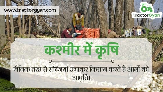 कश्मीर में कृषि: जैविक तरह से सब्जियां उगाकर किसान करते है आर्मी को आपूर्ति। image