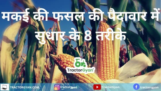 8 Ways To Improve Corn Crop Yields image