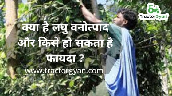 What is minor forest produce? Who can benefit? image