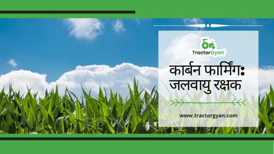 Carbon Farming: The climate saviour image