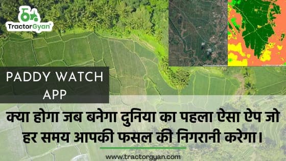 पेडी वॉच ऐप: क्या होगा जब बनेगा दुनिया का पहला ऐसा ऐप जो हर समय आपकी फसल की निगरानी करेगा। image