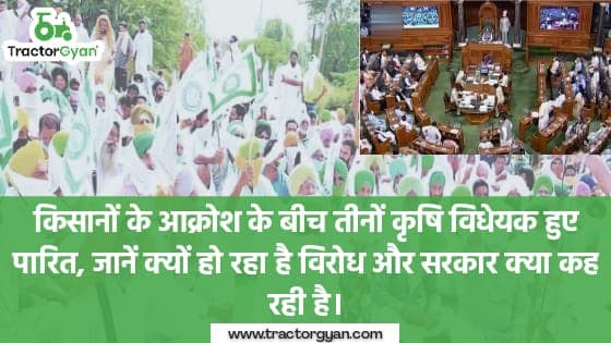 किसानों के आक्रोश के बीच तीनों कृषि विधेयक हुए पारित, जानें क्यों हो रहा है विरोध और सरकार क्या कह रही है। किसानों के आक्रोश के बीच तीनों कृषि विधेयक हुए पारित, जानें क्यों हो रहा है विरोध और सरकार क्या कह रही है। image
