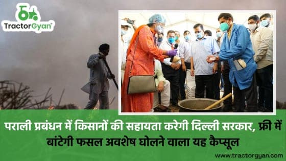 किसानों की सहायता करेगी दिल्ली सरकार, फ्री में बांटेगी फसल अवशेष घोलने वाला यह कैप्सूल। image