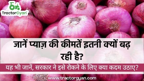 जानें प्याज की कीमतें इतनी क्यों बढ़ रहीं हैं और सरकार ने इसे रोकने के लिए क्या कदम उठाए। image