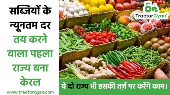 सब्जियों के न्यूनतम दर तय करने वाला पहला राज्य बना केरल, अब ये दो राज्य भी इसकी तर्ज़ पर करेंगे काम। image