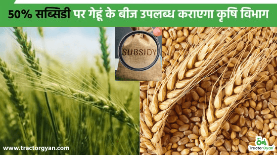 इस राज्य के किसान बाज़ार से ना खरीदें महंगे बीज, 50% सब्सिडी पर गेहूं के बीज उपलब्ध कराएगा कृषि विभाग। इस राज्य के किसान बाज़ार से ना खरीदें महंगे बीज, 50% सब्सिडी पर गेहूं के बीज उपलब्ध कराएगा कृषि विभाग। image