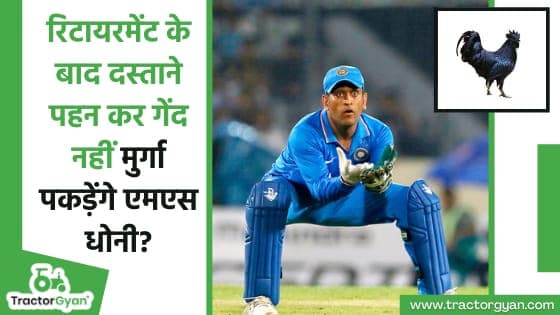 रिटायरमेंट के बाद दस्ताने पहन कर गेंद नहीं मुर्गे पकड़ेंगे एमएस धोनी? image