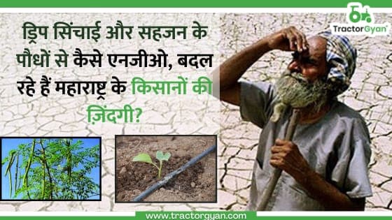 ड्रिप सिंचाई और सहजन के पौधों से कैसे एनजीओ बदल रहें है महाराष्ट्र के किसानों की ज़िंदगी? image