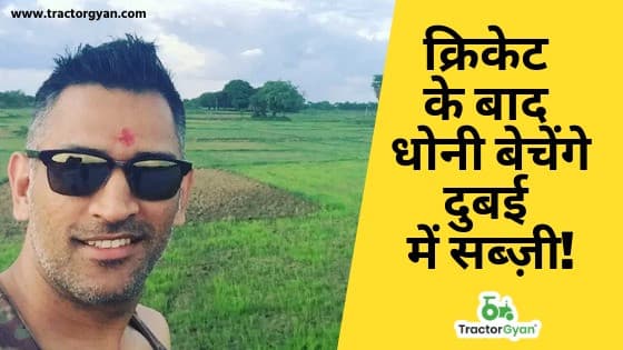 क्रिकेट के बाद धोनी बेचेंगे दुबई में सब्ज़ी! image