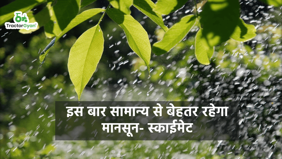 इस बार सामान्य से बेहतर रहेगा मानसून- स्काईमेट image