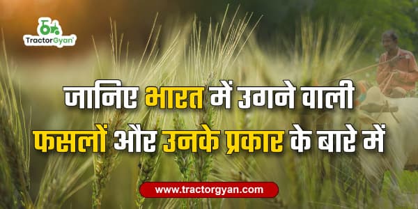3 Major Types of Crops: Zaid, Rabi and Kharif Crop Seasons in India | Tractorgyan image