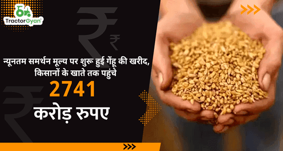 न्यूनतम समर्थन मूल्य पर शुरू हुई गेंहू की खरीद, किसानों के खाते तक पहुंचे 2741 करोड़ रुपए image
