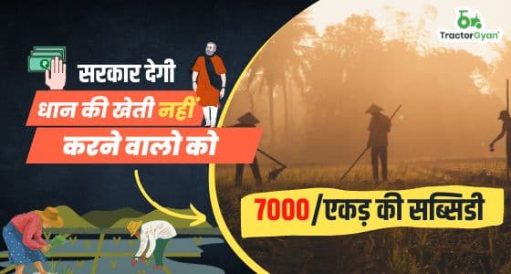 मेरी फसल मेरा ब्यौरा पोर्टल: सरकार देगी धान की खेती नहीं करने वालो को 7000/एकड़ की सब्सिडी image