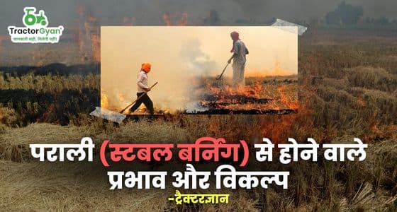 Stubble Burning: Effects & Alternatives of Stubble Burning | Tractorgyan image