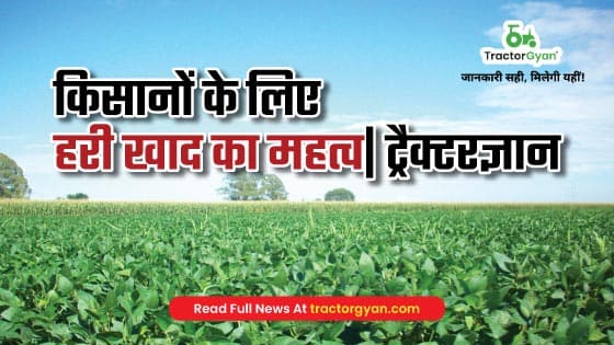 Green Manure: Types and Importance of Green Manure for Farmers | Tractorgyan image