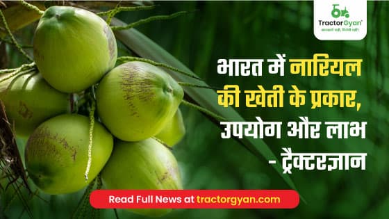 Coconut Farming: Varieties, Uses & Benefits of Coconut Farming in India | TractorGyan image