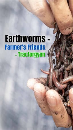 Earthworms - Farmer's Friends | Tractorgyan
