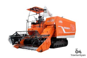 Shaktiman पैडी मास्टर 3776 (1)