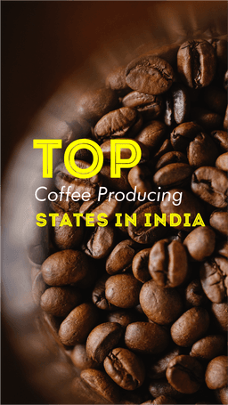 Top 7 Coffee Producing States in India Top 7 Coffee Producing States in India