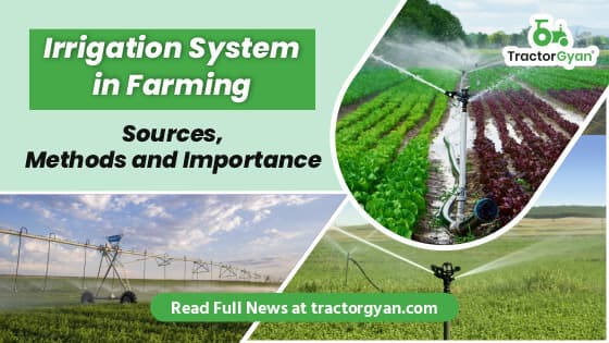 Irrigation System in Farming: Understand Sources, Methods and Importance Irrigation System in Farming: Understand Sources, Methods and Importance