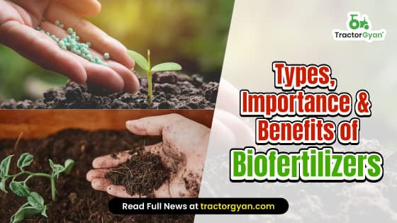 Biofertilizers: Types, Uses and Importance of Biofertilizers Biofertilizers: Types, Uses and Importance of Biofertilizers image