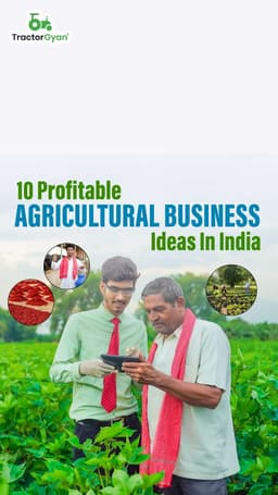 Top 10 Profitable Agricultural Business Ideas In India Top 10 Profitable Agricultural Business Ideas In India