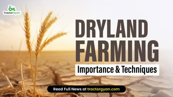 Dryland Farming: Importance, Characteristics  & Techniques | Tractorgyan Dryland Farming: Importance, Characteristics  & Techniques | Tractorgyan image