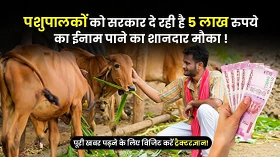 पशुपालकों को सरकार दे रही है 5 लाख रुपये का ईनाम पाने का शानदार मौका, इस तारीख तक करें आवेदन पशुपालकों को सरकार दे रही है 5 लाख रुपये का ईनाम पाने का शानदार मौका, इस तारीख तक करें आवेदन