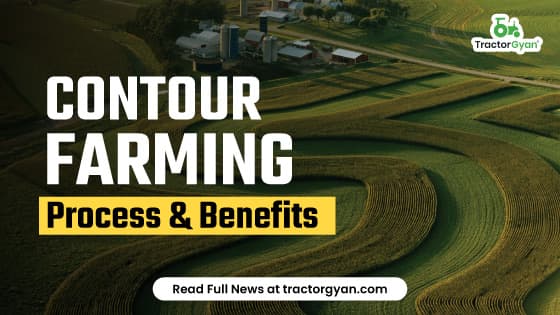 Contour Farming: Process & Benefits Contour Farming: Process & Benefits image