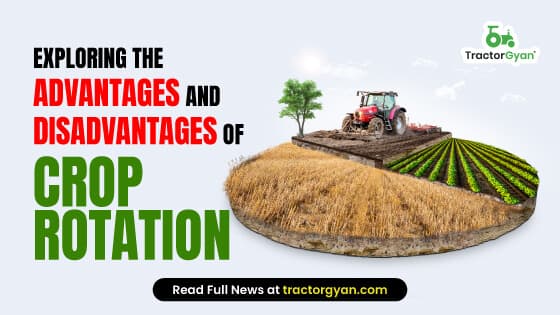 Crop Rotation: Advantages and Disadvantages of Crop Rotation Crop Rotation: Advantages and Disadvantages of Crop Rotation image