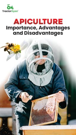 Apiculture: Importance, Advantages and Disadvantages Apiculture: Importance, Advantages and Disadvantages