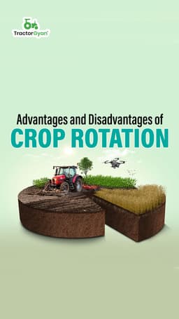 Advantages and Disadvantages of Crop Rotation Advantages and Disadvantages of Crop Rotation