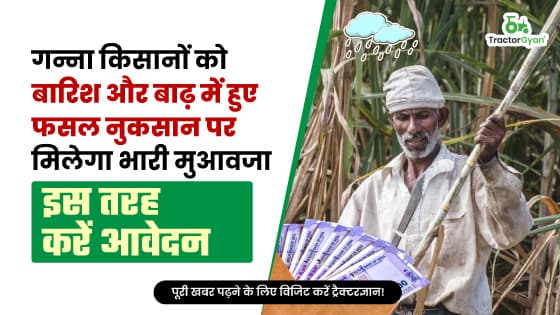 गन्ना किसानों को बारिश और बाढ़ में हुए फसल नुकसान पर मिलेगा भारी मुआवजा, इस तरह करें आवेदन गन्ना किसानों को बारिश और बाढ़ में हुए फसल नुकसान पर मिलेगा भारी मुआवजा, इस तरह करें आवेदन