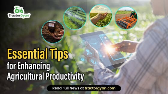 Essential Tips for Enhancing Agricultural Productivity Essential Tips for Enhancing Agricultural Productivity image