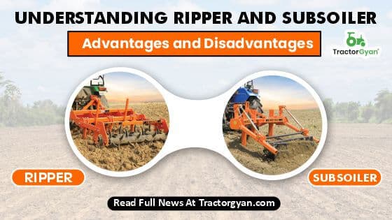 Understanding Ripper and Subsoiler Advantages and Disadvantages Understanding Ripper and Subsoiler Advantages and Disadvantages image
