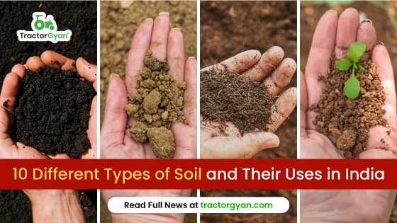 10 Different Types of Soil and Their Uses in India 10 Different Types of Soil and Their Uses in India image