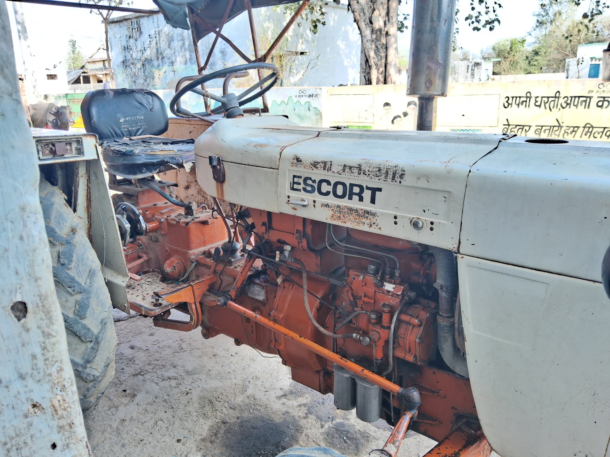 Escorts Josh 335 (2) Escorts Josh 335 (2)